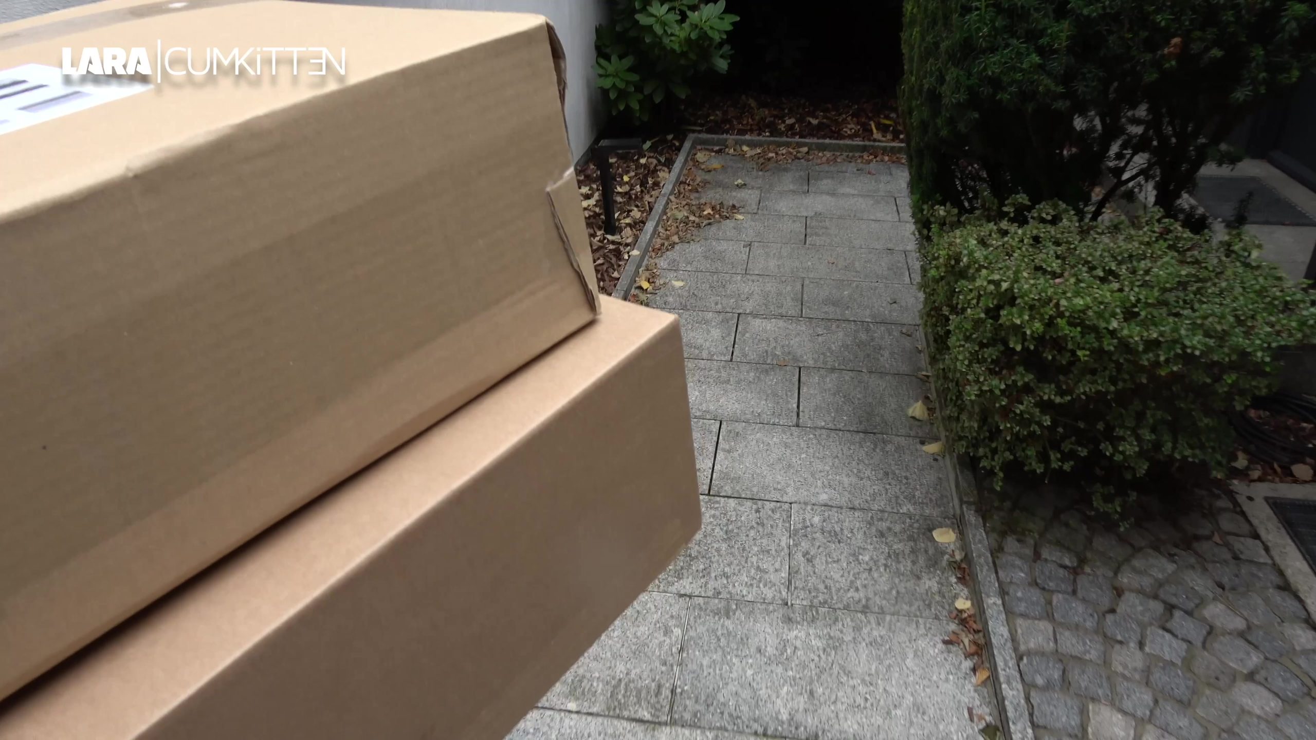 Lara-CumKitten Porno Video: CREAMPIE FICK - Endlich schwanger??