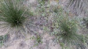 Lisa-Sack Porno Video: Megakranker Bumsplace hinterm Strand gefickt und vollgekleistert