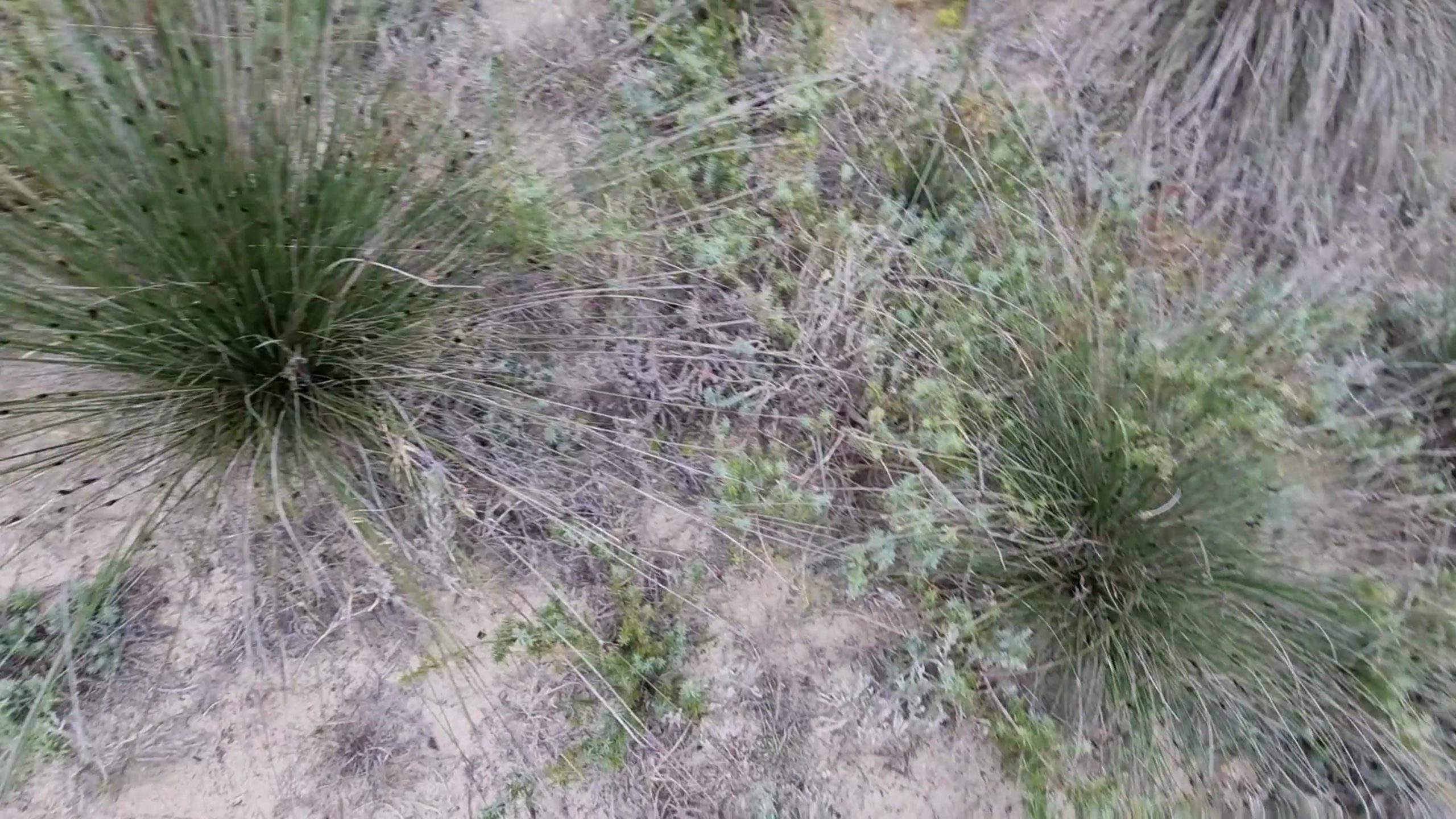 Lisa-Sack Porno Video: Megakranker Bumsplace hinterm Strand gefickt und vollgekleistert