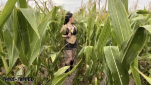 Trixie-Tainted Porno Video: Maiskolben Fick ganz nah  Geile Ernte im versteckten Feld